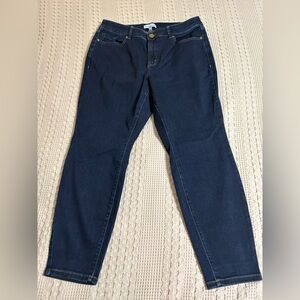 Lane Bryant Dark Indigo Straight Leg Jeans